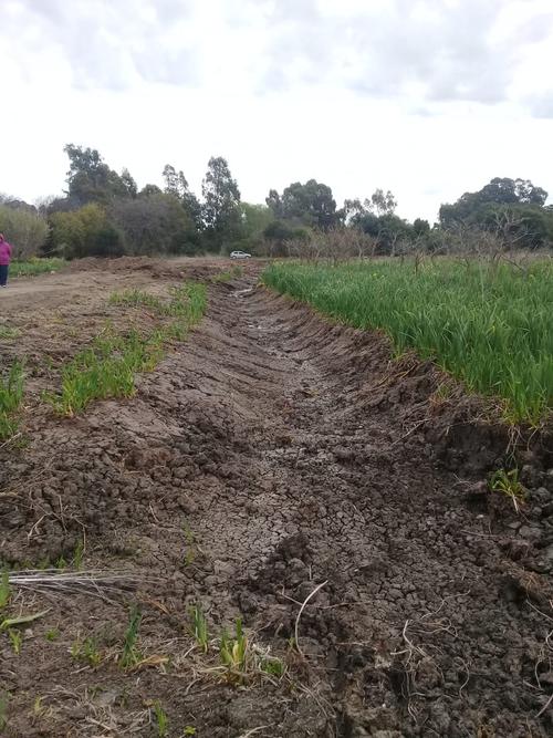 Imagen del movimiento de suelo en zona humedal, por obras en la playa del Pericón